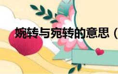婉转与宛转的意思（婉转和宛转的区别）