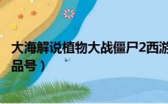 大海解说植物大战僵尸2西游版（求一个西游大战僵尸2的极品号）