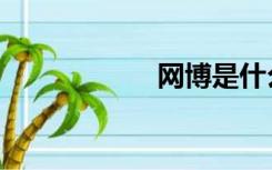 网博是什么（网博）