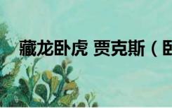 藏龙卧虎 贾克斯（卧虎藏龙贾克斯稀有）