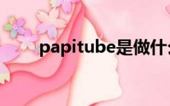 papitube是做什么的（papitube）