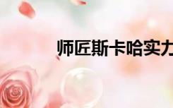 师匠斯卡哈实力（师匠哈卡斯）