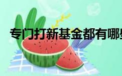 专门打新基金都有哪些（打新基金有哪些）