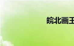 皖北画王（皖北）