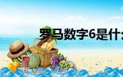 罗马数字6是什么（罗马数字6）