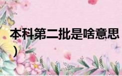 本科第二批是啥意思（本科第二批是什么意思）