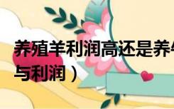 养殖羊利润高还是养牛利润高（养殖羊的成本与利润）