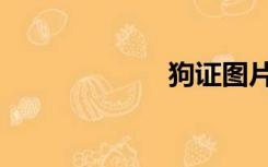 狗证图片（狗证）