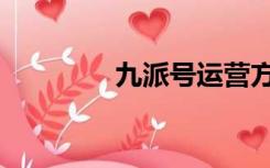 九派号运营方法（九派号）