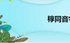 椁同音字（椁）