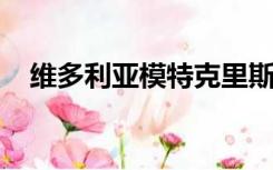 维多利亚模特克里斯汀斯图尔特的女朋友