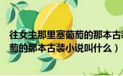 往女主那里塞葡萄的那本古装小说叫什么（往女主那里塞葡萄的那本古装小说叫什么）