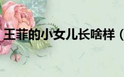 王菲的小女儿长啥样（王菲的几个老公是谁）