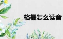 格栅怎么读音（格栅怎么读）