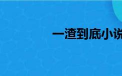 一渣到底小说（一渣到底）