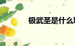 极武圣是什么职业（极武圣）