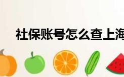 社保账号怎么查上海（社保账号怎么查）