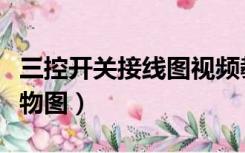 三控开关接线图视频教程（三控开关接线图实物图）
