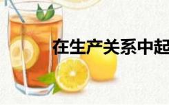 在生产关系中起决定作用的是( )