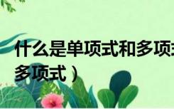 什么是单项式和多项式视频（什么是单项式和多项式）