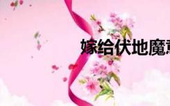 嫁给伏地魔意味着什么？