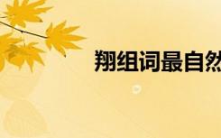 翔组词最自然的（翔组词）