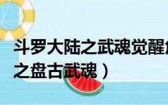 斗罗大陆之武魂觉醒角色强度排名（斗罗大陆之盘古武魂）