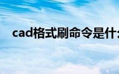 cad格式刷命令是什么（cad格式刷命令）