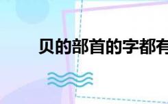 贝的部首的字都有什么（贝的部首）
