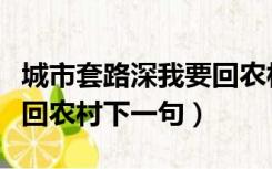 城市套路深我要回农村图片（城市套路深我要回农村下一句）