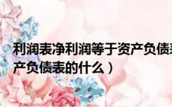 利润表净利润等于资产负债表什么（利润表的净利润等于资产负债表的什么）
