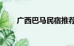 广西巴马民宿推荐（广西巴马民宿）