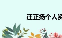 汪正扬个人资料（汪正扬）