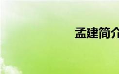 孟建简介（孟建）