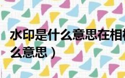 水印是什么意思在相机上有何作用（水印是什么意思）