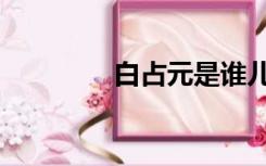 白占元是谁儿子（白占元）