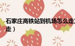 石家庄高铁站到机场怎么走方便（石家庄机场到高铁站怎么走）
