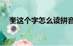 奎这个字怎么读拼音（奎这个字怎么读）