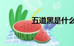五道黑是什么鱼（五道黑）