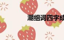 潮组词四字成语（潮组词）