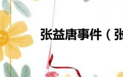 张益唐事件（张益唐造假事件）