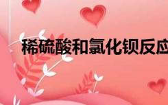 稀硫酸和氯化钡反应（稀硫酸和氯化钡）