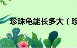 珍珠龟能长多大（珍珠龟为什么没人养）