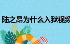陆之昂为什么入狱视频（陆之昂为什么坐牢）