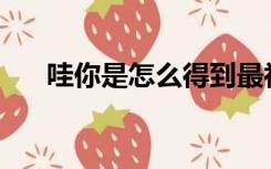 哇你是怎么得到最初的火刃豹坐骑的？