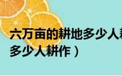 六万亩的耕地多少人耕作完成（六万亩的耕地多少人耕作）