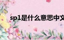 sp1是什么意思中文（sp1是什么意思）