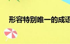 形容特别唯一的成语（形容唯一的成语）
