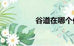 谷道在哪个位置（谷道）