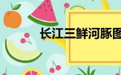 长江三鲜河豚图片（长江三鲜）